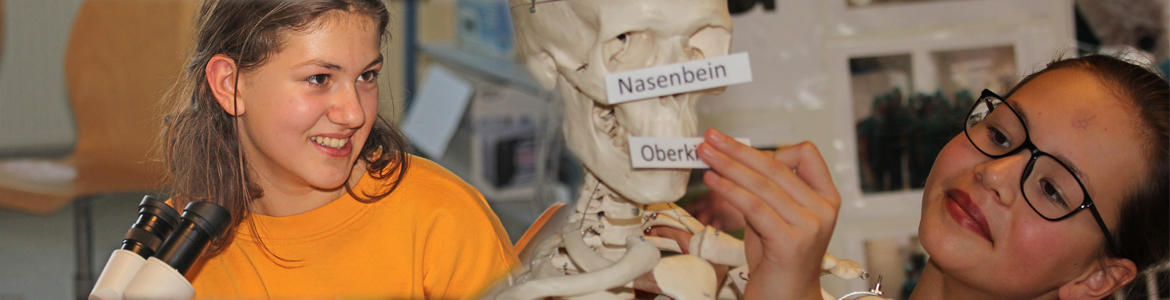 Biologie und Umweltbildung